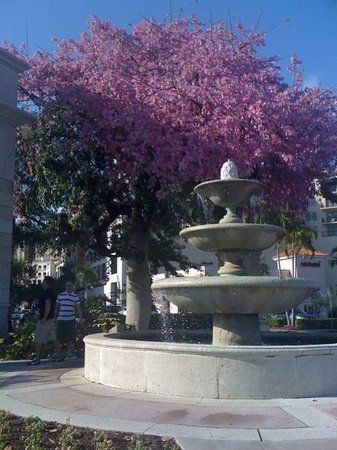 Miracle Mile de Miami